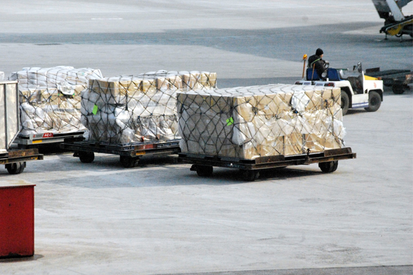 International_cargo_movers_in_Dubai